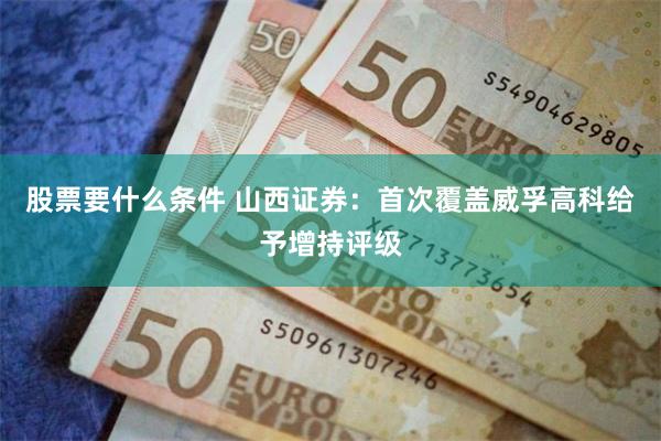 股票要什么条件 山西证券：首次覆盖威孚高科给予增持评级