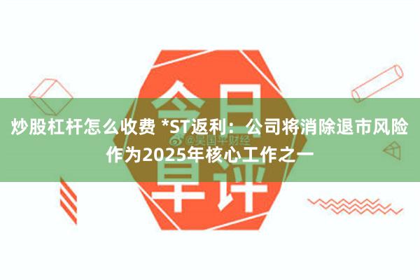 炒股杠杆怎么收费 *ST返利：公司将消除退市风险作为2025年核心工作之一