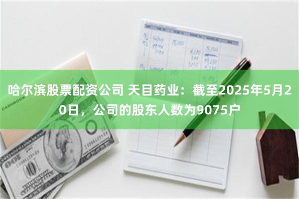 哈尔滨股票配资公司 天目药业：截至2025年5月20日，公司的股东人数为9075户