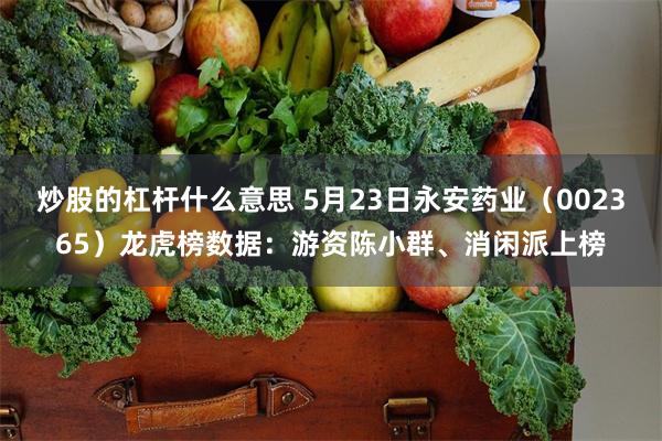 炒股的杠杆什么意思 5月23日永安药业（002365）龙虎榜数据：游资陈小群、消闲派上榜