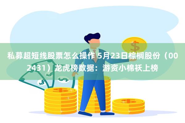 私募超短线股票怎么操作 5月23日棕榈股份（002431）龙虎榜数据：游资小棉袄上榜