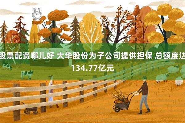 股票配资哪儿好 大华股份为子公司提供担保 总额度达134.77亿元