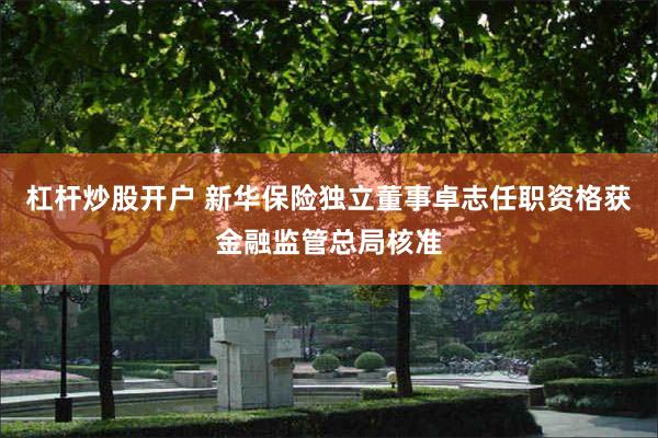 杠杆炒股开户 新华保险独立董事卓志任职资格获金融监管总局核准