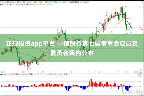 正规投资app平台 中信银行第七届董事会成员及委员会架构公布