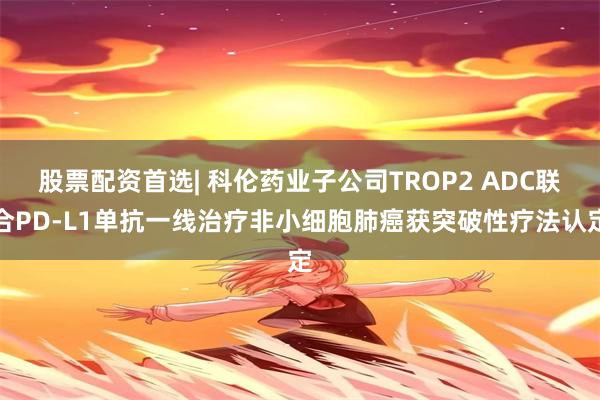 股票配资首选| 科伦药业子公司TROP2 ADC联合PD-L1单抗一线治疗非小细胞肺癌获突破性疗法认定