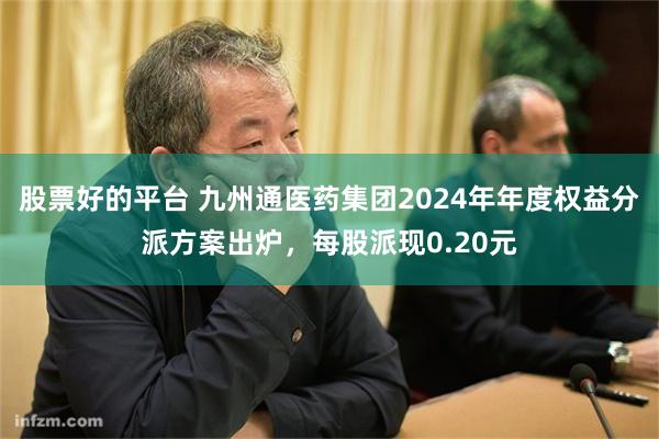 股票好的平台 九州通医药集团2024年年度权益分派方案出炉，每股派现0.20元