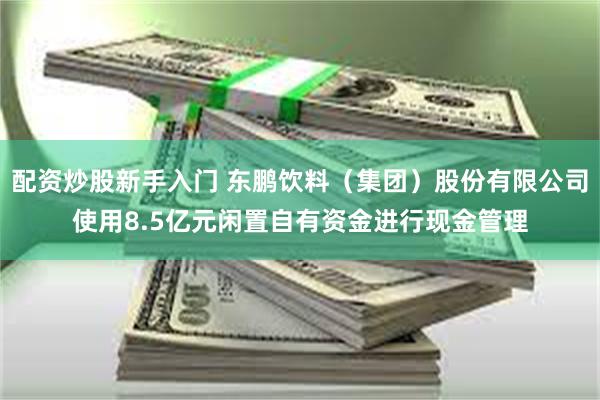 配资炒股新手入门 东鹏饮料（集团）股份有限公司使用8.5亿元闲置自有资金进行现金管理