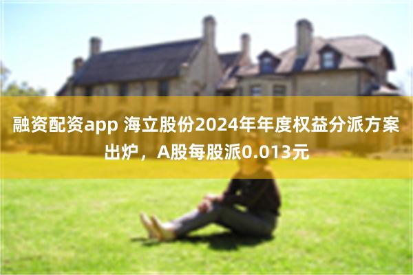 融资配资app 海立股份2024年年度权益分派方案出炉，A股每股派0.013元