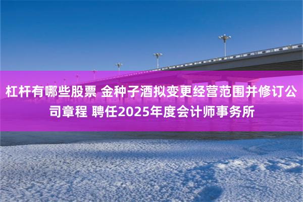 杠杆有哪些股票 金种子酒拟变更经营范围并修订公司章程 聘任2025年度会计师事务所