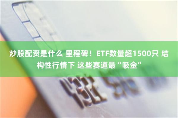 炒股配资是什么 里程碑！ETF数量超1500只 结构性行情下 这些赛道最“吸金”