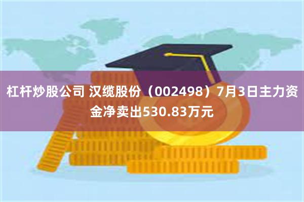 杠杆炒股公司 汉缆股份（002498）7月3日主力资金净卖出530.83万元