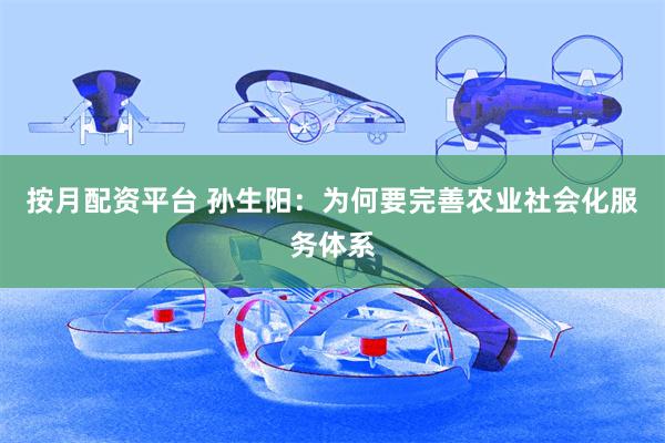 按月配资平台 孙生阳：为何要完善农业社会化服务体系