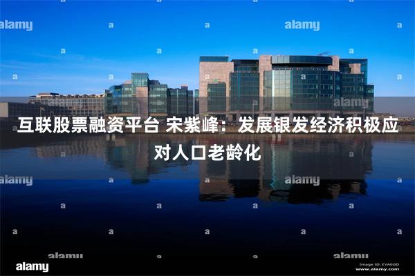 互联股票融资平台 宋紫峰：发展银发经济积极应对人口老龄化