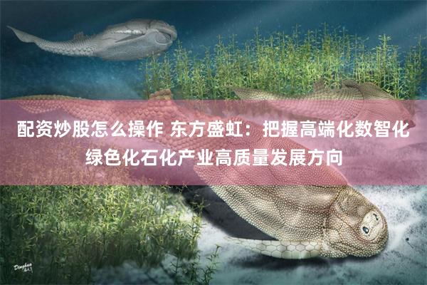 配资炒股怎么操作 东方盛虹：把握高端化数智化绿色化石化产业高质量发展方向