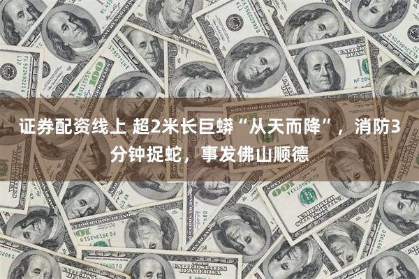 证券配资线上 超2米长巨蟒“从天而降”，消防3分钟捉蛇，事发佛山顺德