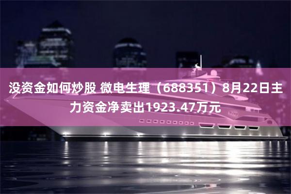 没资金如何炒股 微电生理（688351）8月22日主力资金净卖出1923.47万元