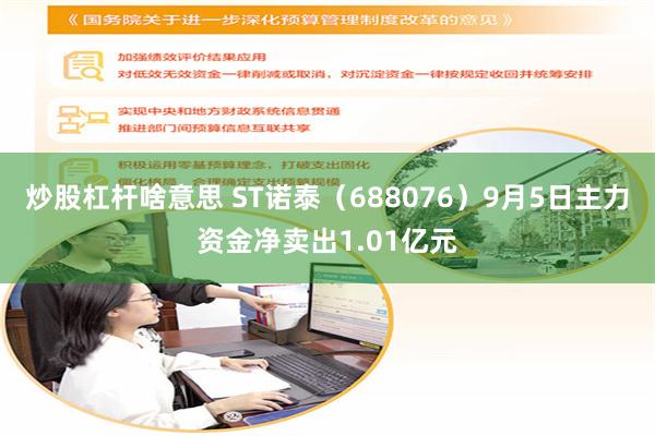 炒股杠杆啥意思 ST诺泰（688076）9月5日主力资金净卖出1.01亿元