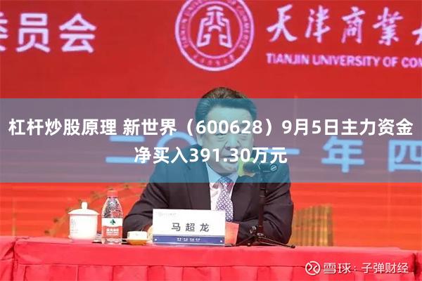 杠杆炒股原理 新世界（600628）9月5日主力资金净买入391.30万元