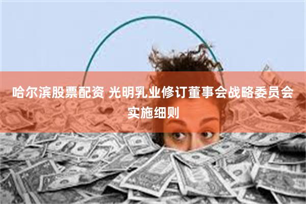 哈尔滨股票配资 光明乳业修订董事会战略委员会实施细则