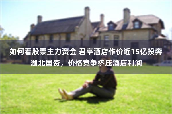如何看股票主力资金 君亭酒店作价近15亿投奔湖北国资，价格竞争挤压酒店利润