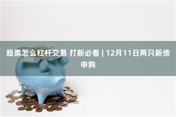 股票怎么杠杆交易 打新必看 | 12月11日两只新债申购