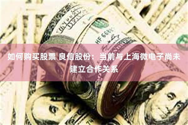 如何购买股票 良信股份：当前与上海微电子尚未建立合作关系