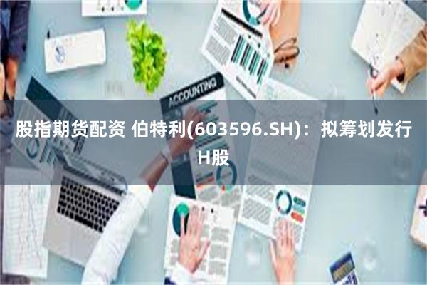 股指期货配资 伯特利(603596.SH)：拟筹划发行H股