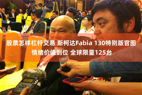 股票怎样杠杆交易 斯柯达Fabia 130特别版官图 情绪价值到位 全球限量125台