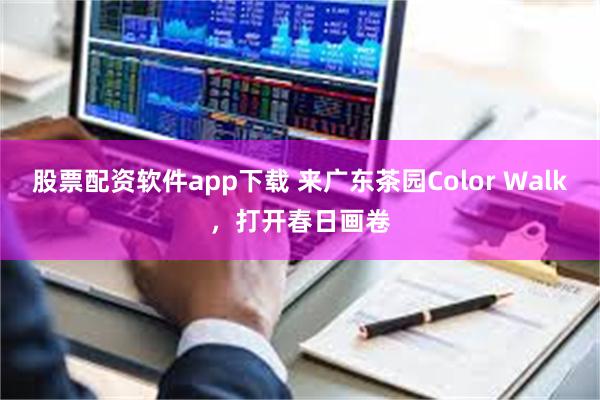 股票配资软件app下载 来广东茶园Color Walk，打开春日画卷