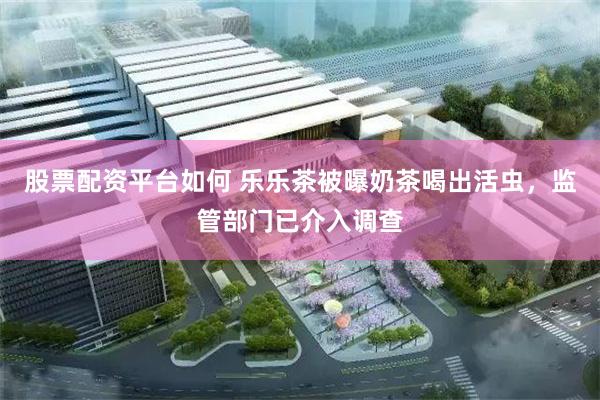 股票配资平台如何 乐乐茶被曝奶茶喝出活虫，监管部门已介入调查