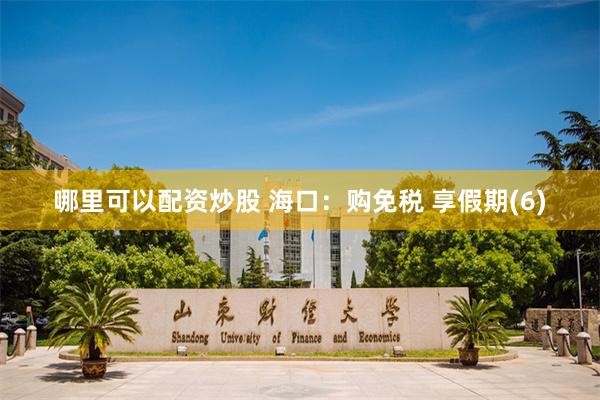 哪里可以配资炒股 海口：购免税 享假期(6)