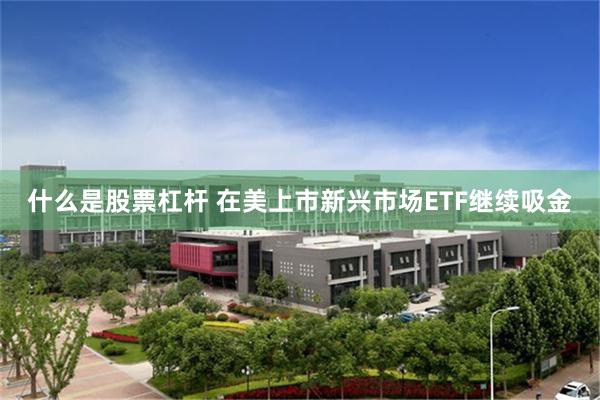 什么是股票杠杆 在美上市新兴市场ETF继续吸金