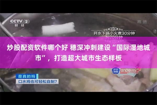 炒股配资软件哪个好 穗深冲刺建设“国际湿地城市”,打造超大城市生态样板
