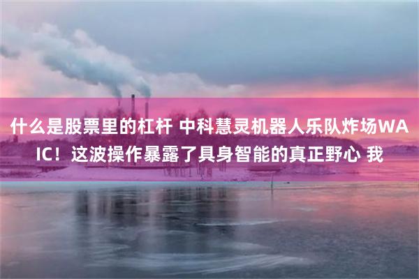 什么是股票里的杠杆 中科慧灵机器人乐队炸场WAIC！这波操作暴露了具身智能的真正野心 我