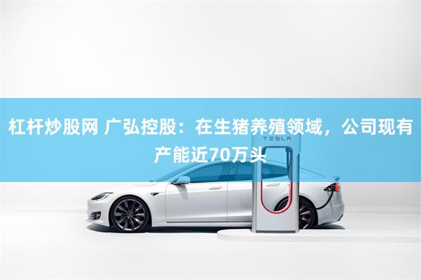 杠杆炒股网 广弘控股:在生猪养殖领域,公司现有产能近70万头