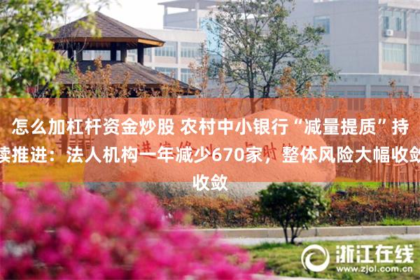 怎么加杠杆资金炒股 农村中小银行“减量提质”持续推进：法人机构一年减少670家，整体风险大幅收敛