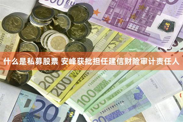 什么是私募股票 安峰获批担任建信财险审计责任人