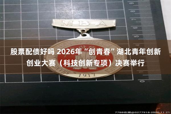 股票配债好吗 2026年“创青春”湖北青年创新创业大赛（科技创新专项）决赛举行