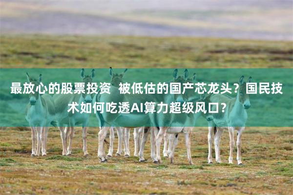 最放心的股票投资  被低估的国产芯龙头？国民技术如何吃透AI算力超级风口？