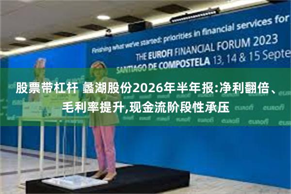 股票带杠杆 蠡湖股份2026年半年报:净利翻倍、毛利率提升,现金流阶段性承压