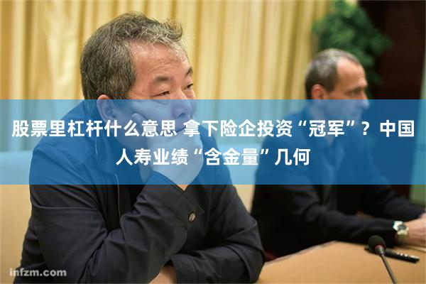 股票里杠杆什么意思 拿下险企投资“冠军”？中国人寿业绩“含金量”几何