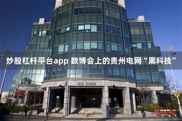 炒股杠杆平台app 数博会上的贵州电网“黑科技”