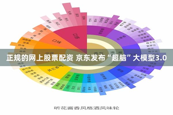 正规的网上股票配资 京东发布“超脑”大模型3.0